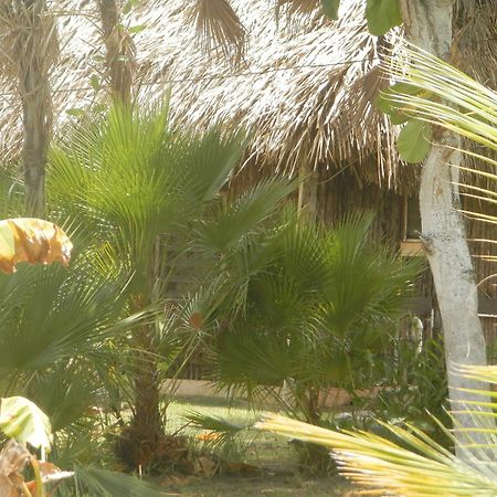 Palmento Grove Cultural And Fishing Lodge هوبكنز المظهر الخارجي الصورة