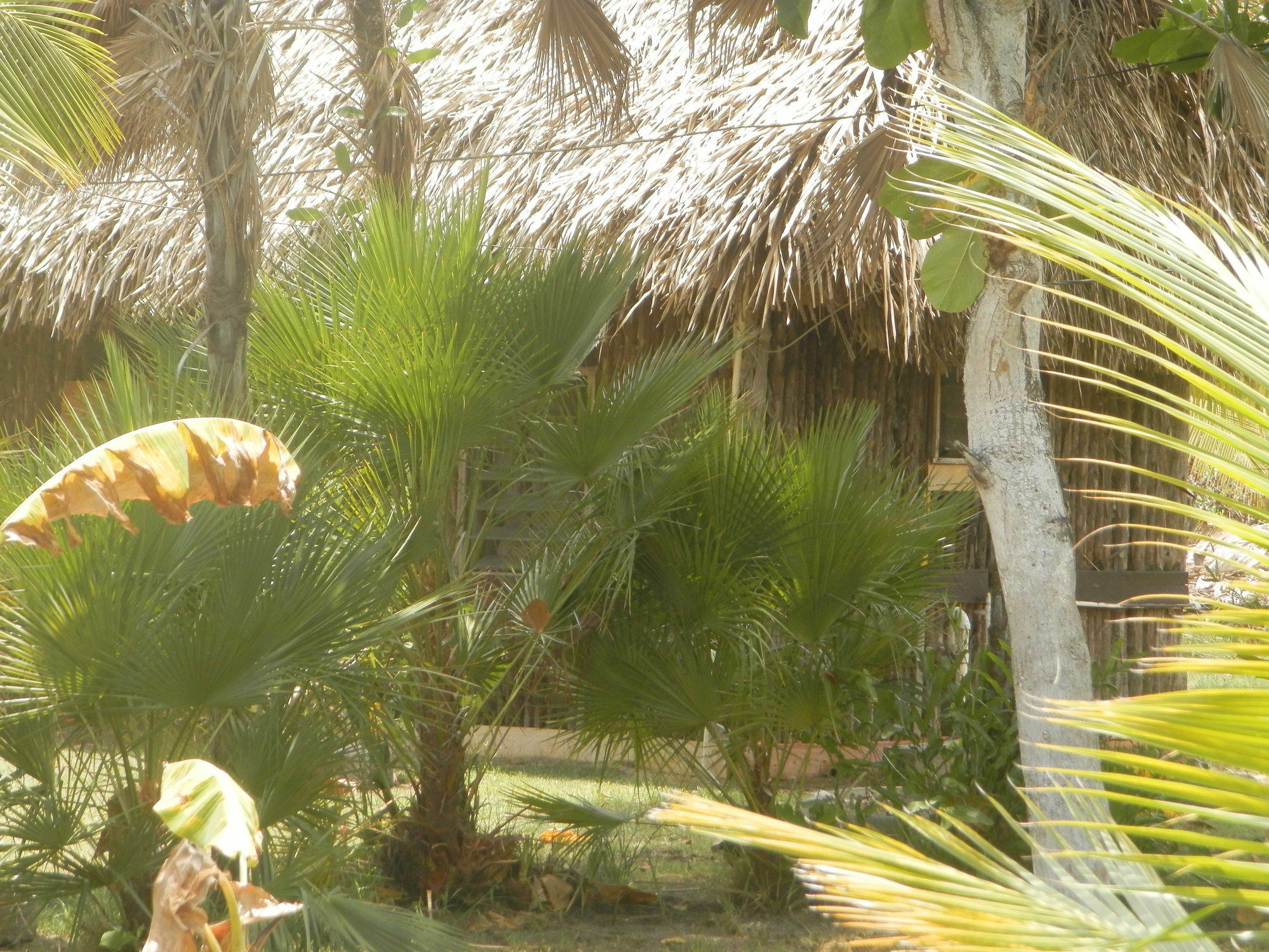Palmento Grove Cultural And Fishing Lodge هوبكنز المظهر الخارجي الصورة