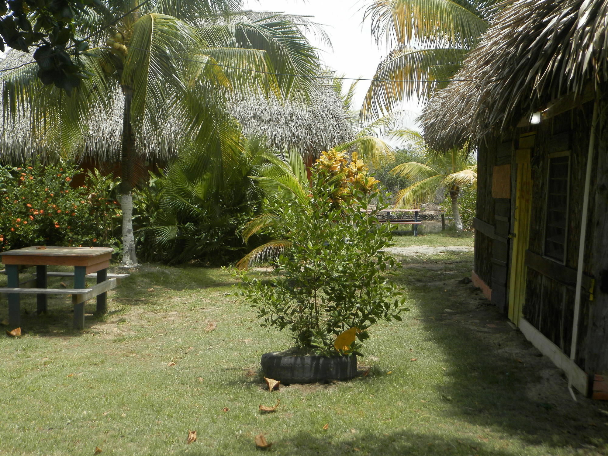 Palmento Grove Cultural And Fishing Lodge هوبكنز المظهر الخارجي الصورة