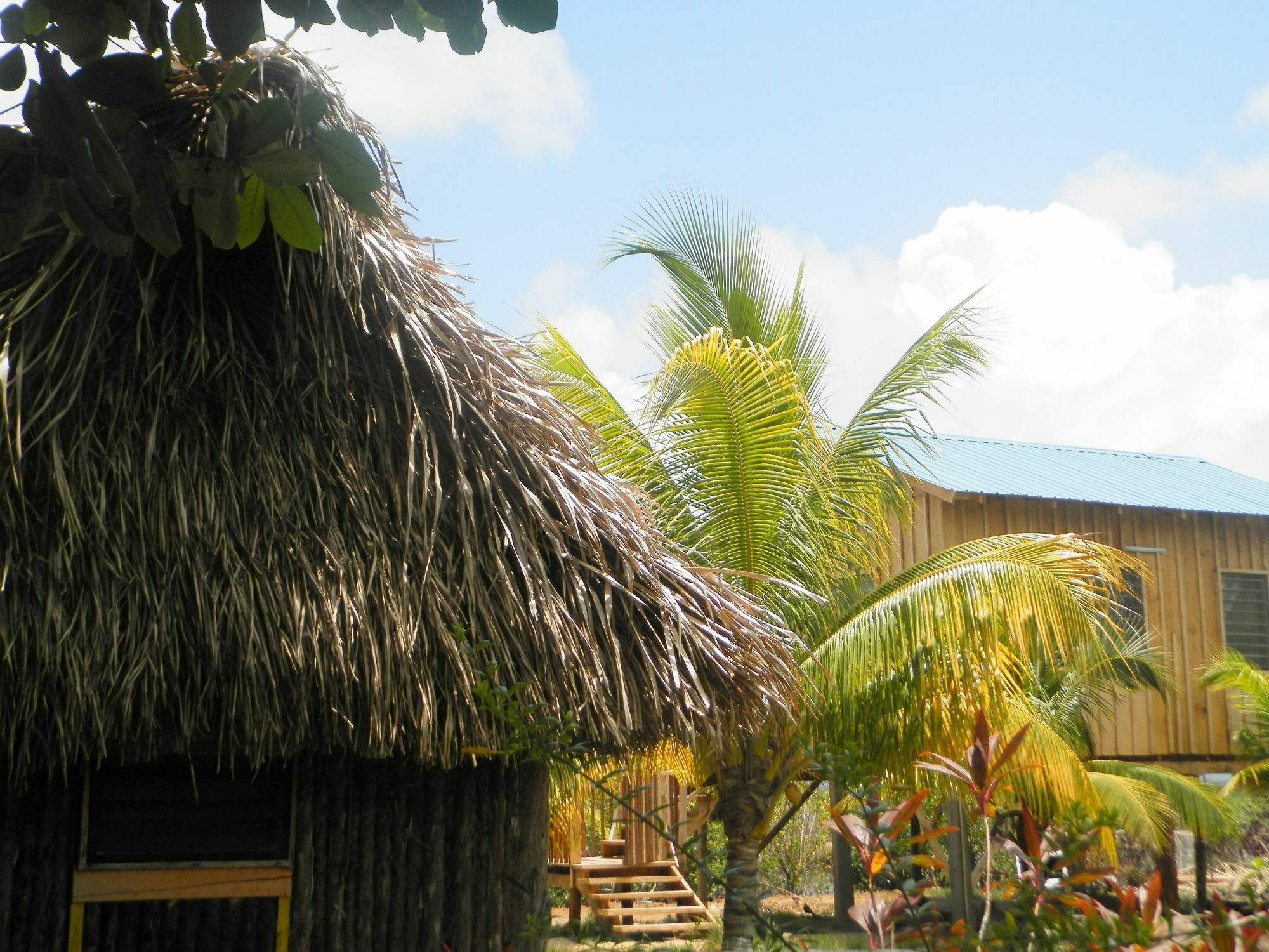Palmento Grove Cultural And Fishing Lodge هوبكنز المظهر الخارجي الصورة