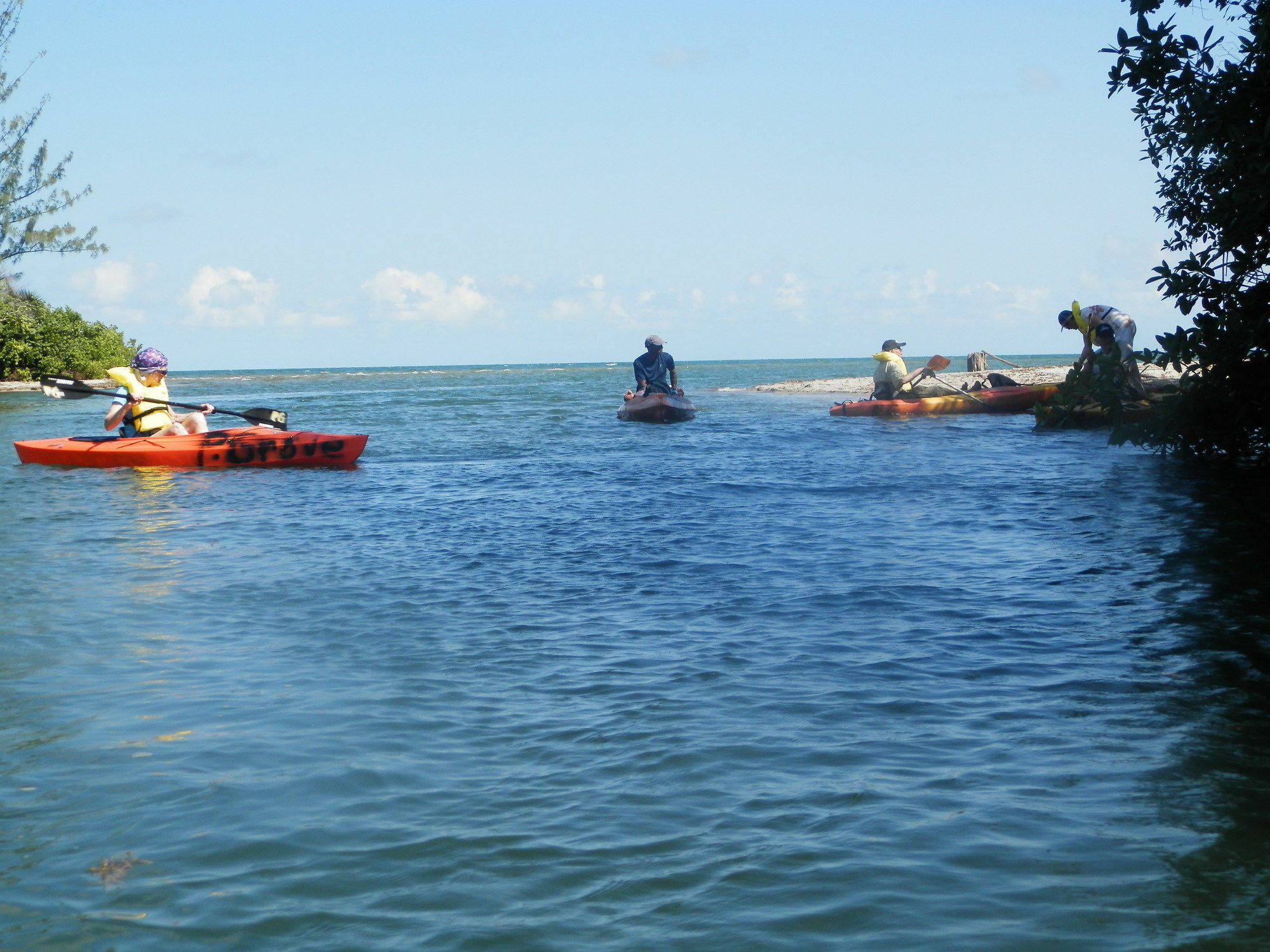 Palmento Grove Cultural And Fishing Lodge هوبكنز المظهر الخارجي الصورة