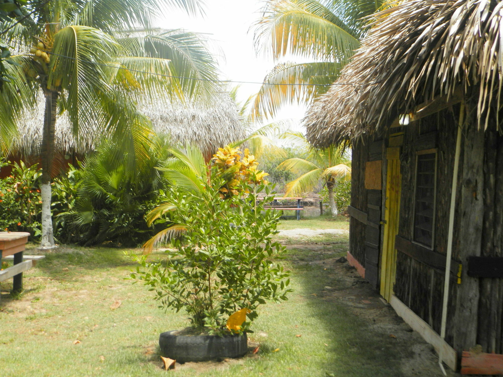 Palmento Grove Cultural And Fishing Lodge هوبكنز المظهر الخارجي الصورة