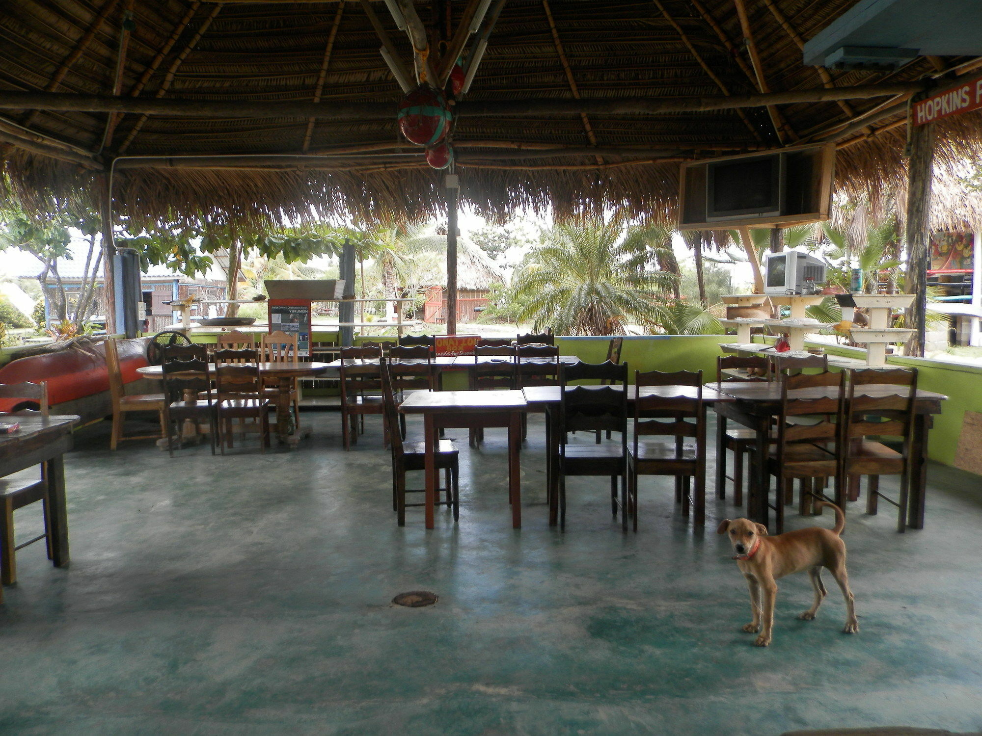 Palmento Grove Cultural And Fishing Lodge هوبكنز المظهر الخارجي الصورة
