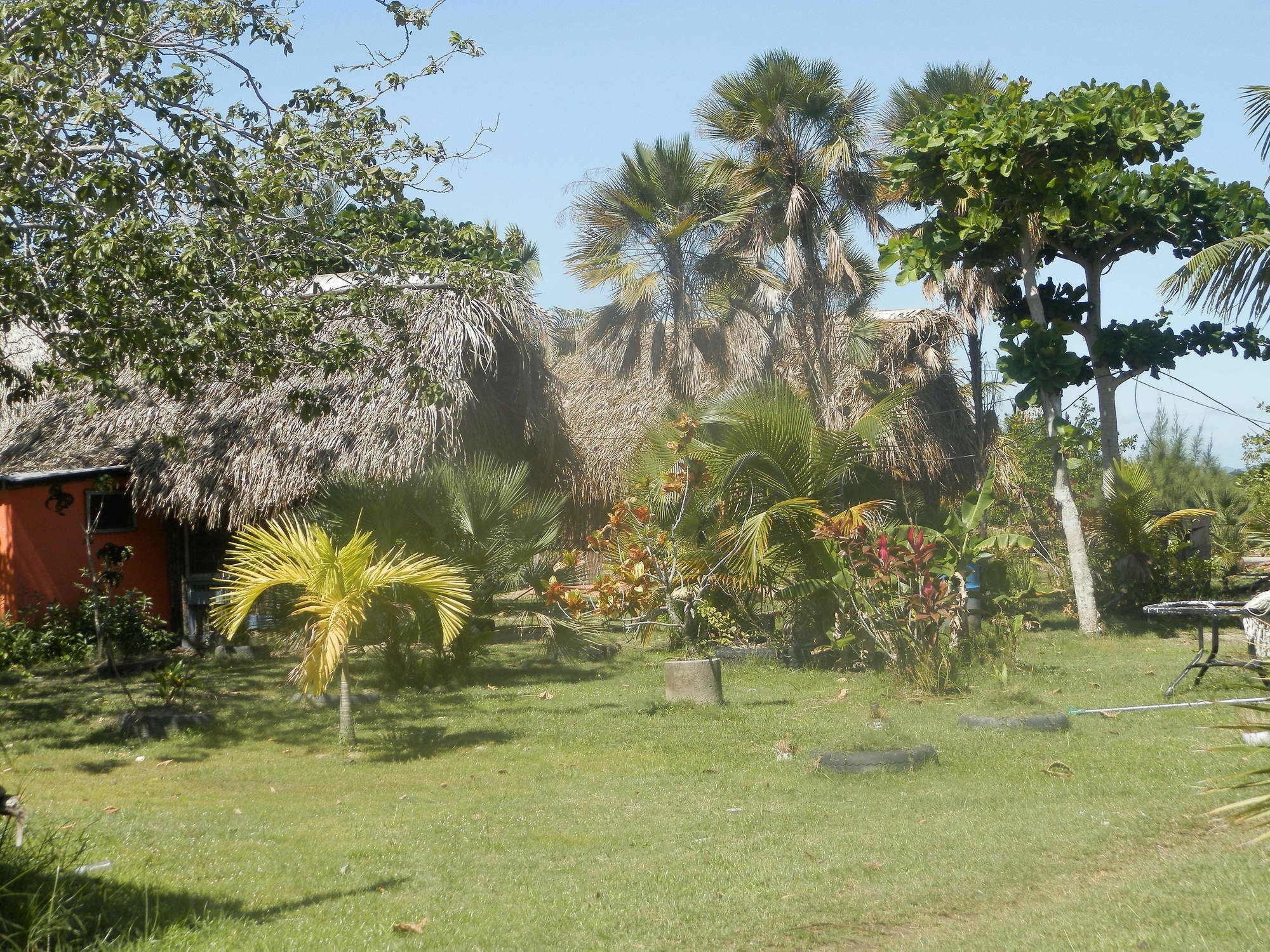 Palmento Grove Cultural And Fishing Lodge هوبكنز المظهر الخارجي الصورة