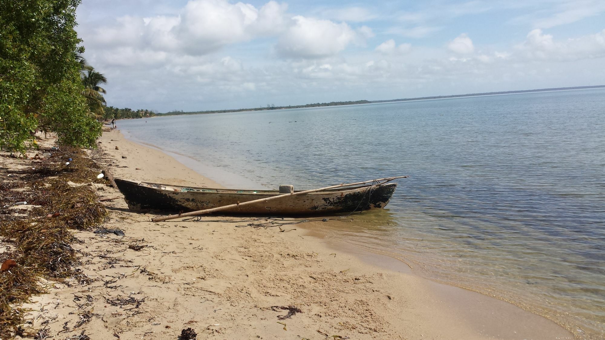 Palmento Grove Cultural And Fishing Lodge هوبكنز المظهر الخارجي الصورة