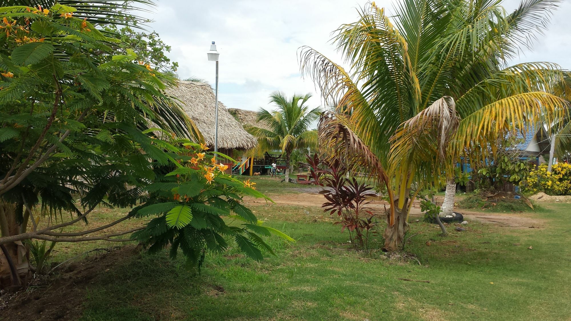 Palmento Grove Cultural And Fishing Lodge هوبكنز المظهر الخارجي الصورة