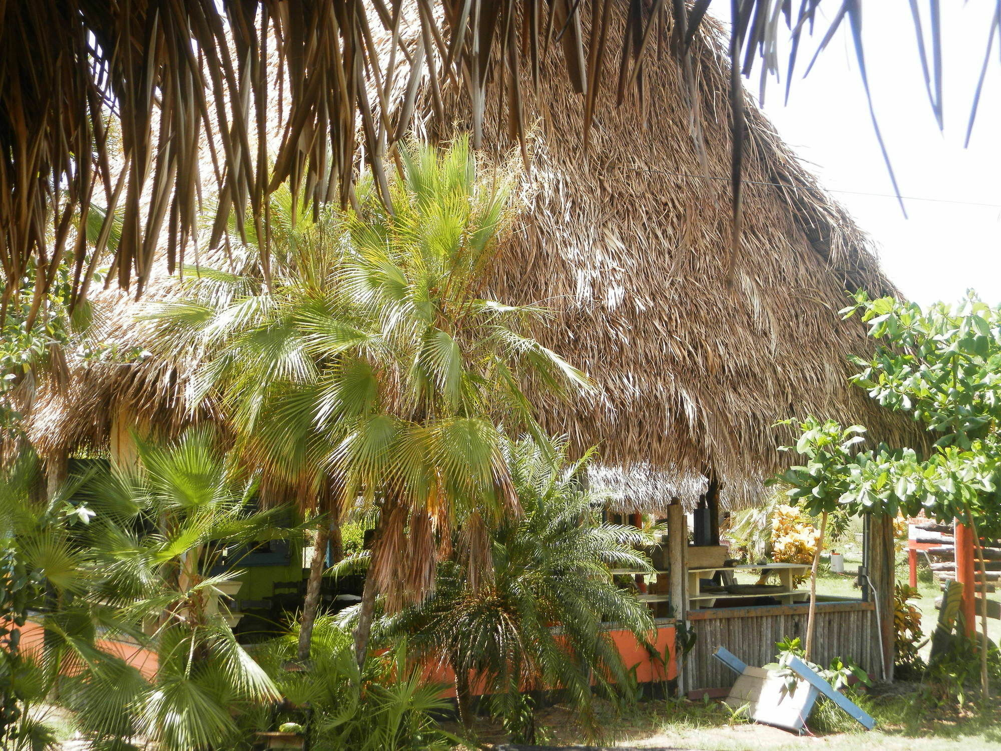 Palmento Grove Cultural And Fishing Lodge هوبكنز المظهر الخارجي الصورة