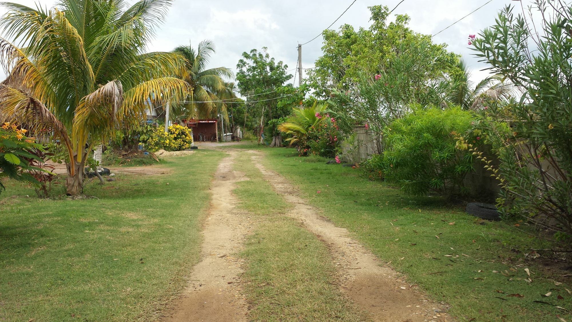 Palmento Grove Cultural And Fishing Lodge هوبكنز المظهر الخارجي الصورة