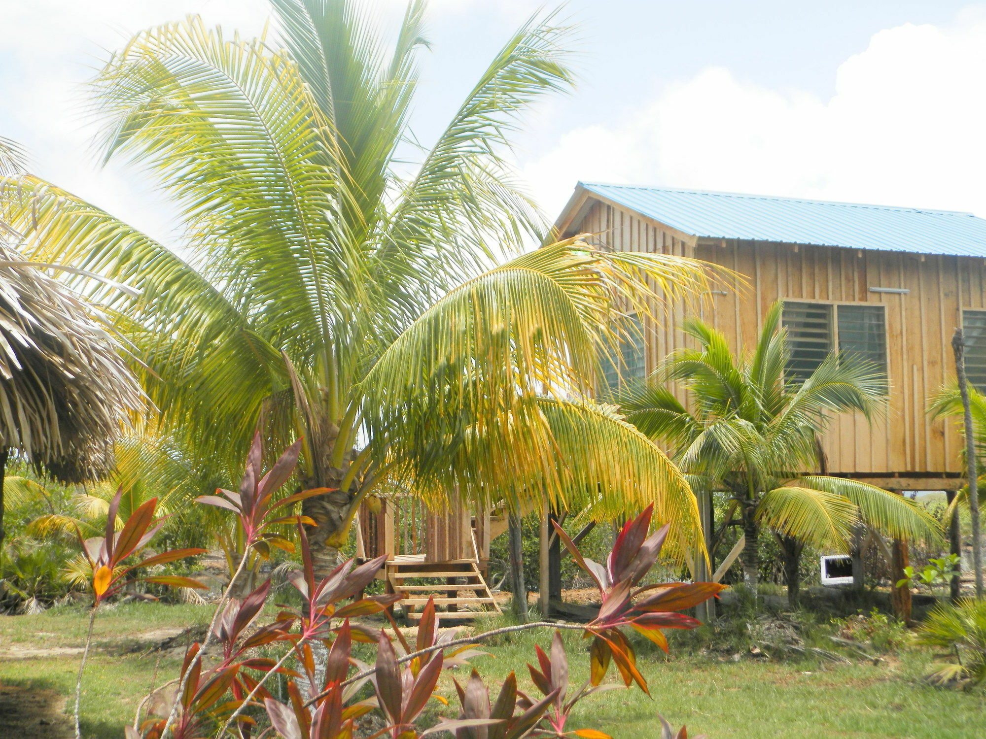 Palmento Grove Cultural And Fishing Lodge هوبكنز المظهر الخارجي الصورة